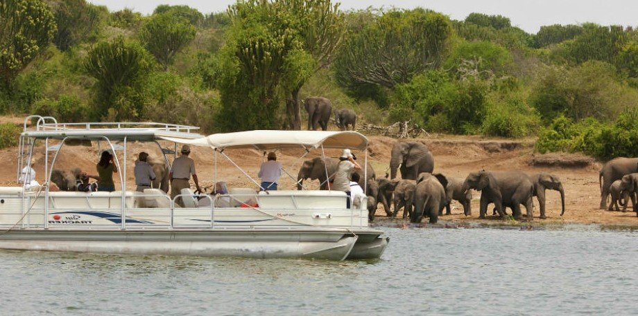 BoatcruisesafarisinAkageraNationalPark